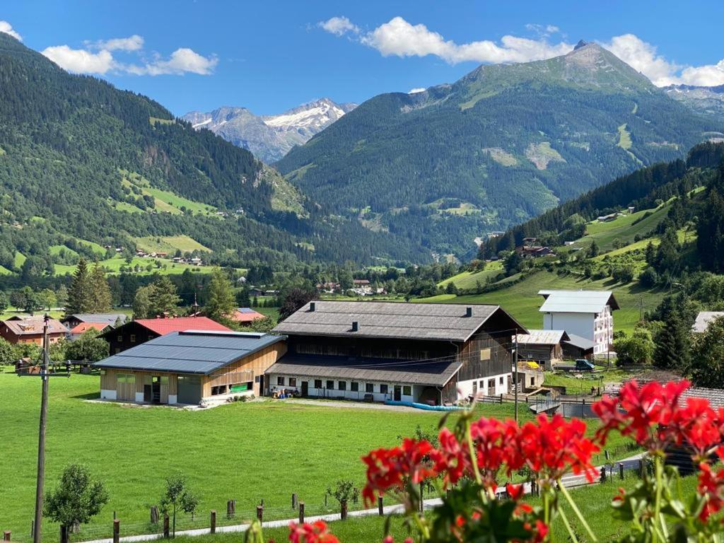 Zittrauerhof - Urlaub Am Bauernhof Gastein Villa Bad Hofgastein Buitenkant foto