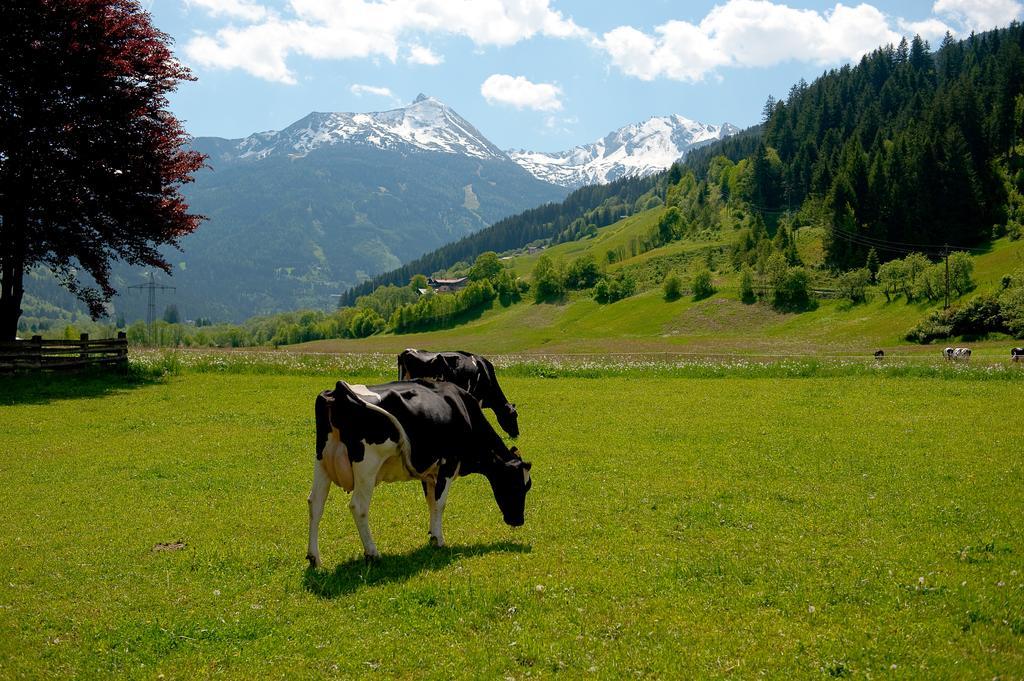 Zittrauerhof - Urlaub Am Bauernhof Gastein Villa Bad Hofgastein Buitenkant foto