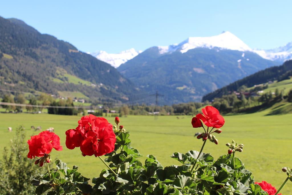 Zittrauerhof - Urlaub Am Bauernhof Gastein Villa Bad Hofgastein Buitenkant foto