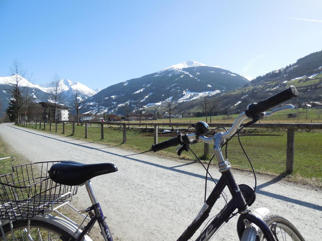 Zittrauerhof - Urlaub Am Bauernhof Gastein Villa Bad Hofgastein Buitenkant foto