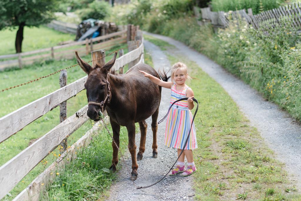Zittrauerhof - Urlaub Am Bauernhof Gastein Villa Bad Hofgastein Buitenkant foto