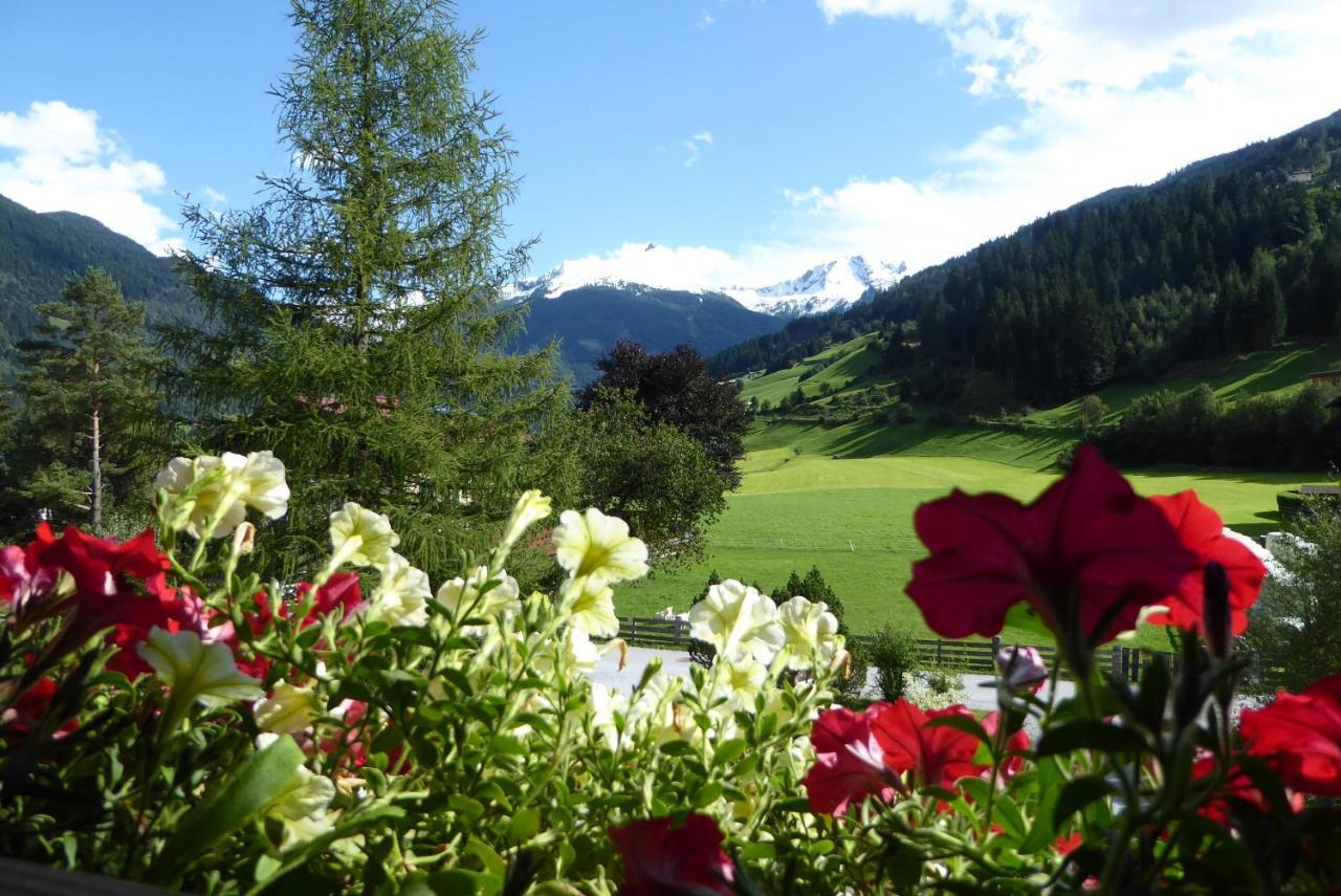 Zittrauerhof - Urlaub Am Bauernhof Gastein Villa Bad Hofgastein Buitenkant foto